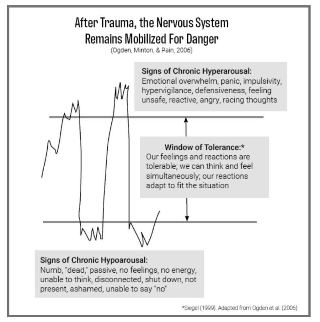 Infographic showing the nervous system after trauma, including the window of tolerance, hyperarousal, and hypoarousal responses