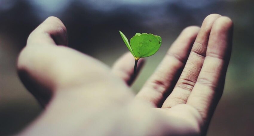 Open hand gently holding a small green leaf, symbolizing healing, growth, and hope.