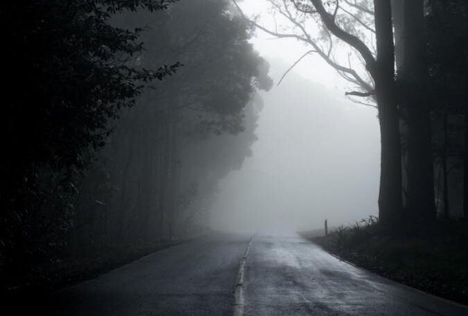 Foggy empty road surrounded by tall trees, creating a dark and moody forest atmosphere with low visibility.