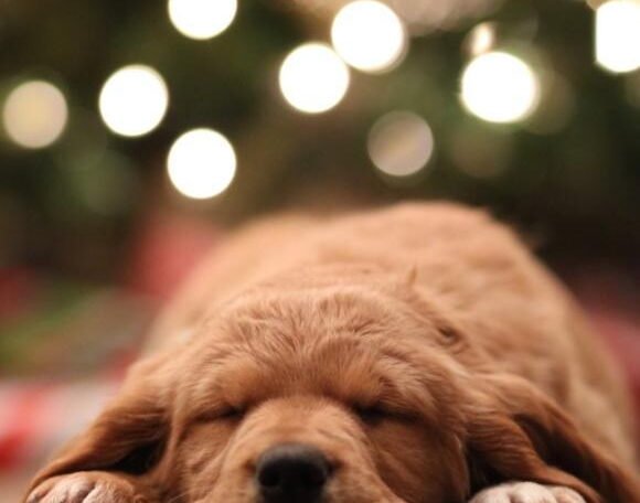 Care Your Mental Health During Holidays
