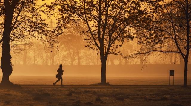Counselling and Exercise
